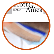 Scott Ames DMD corporate web design