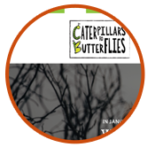 Caterpillars to Butterflies nonprofit web design